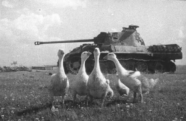 Великая Отечественная в фотографиях - 17
