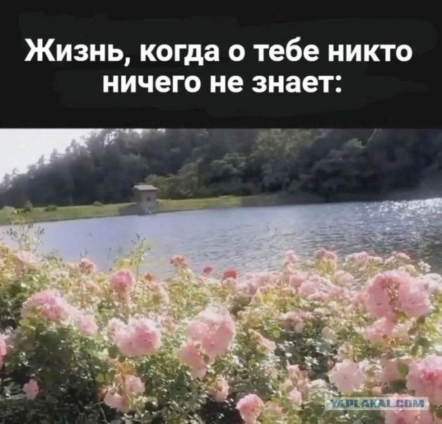 Пятницы картинки