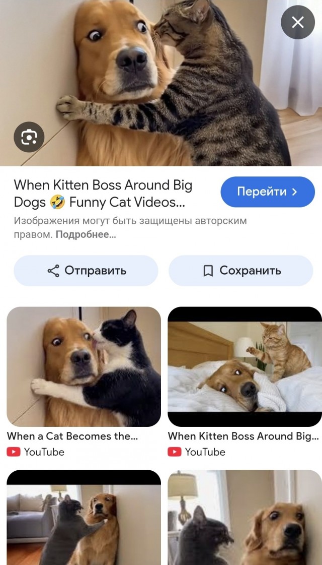 Когда он помыл голову твоим дорогим шампунем