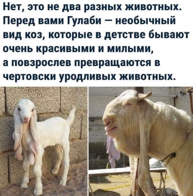 Так себе картинки 15.03.26
