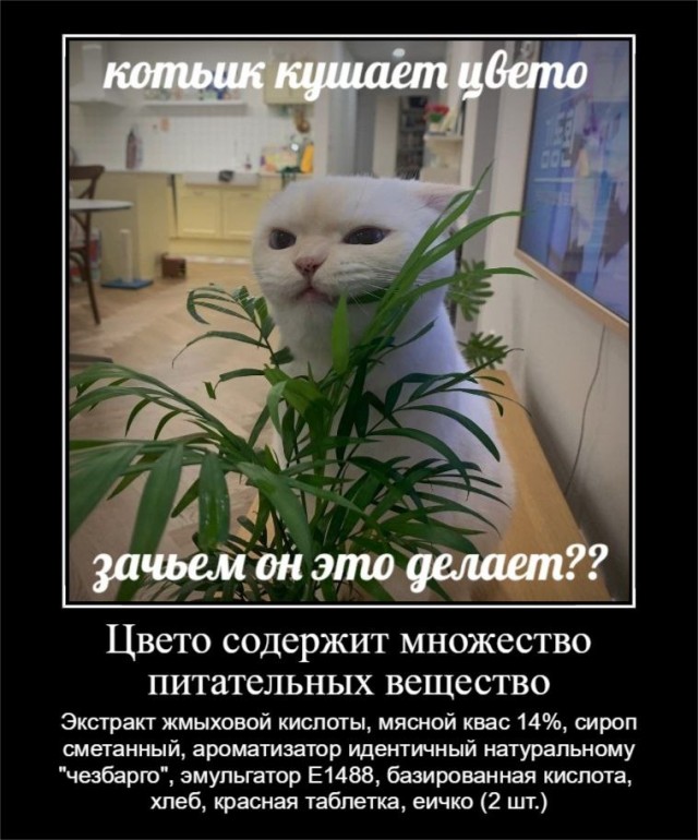 Дегрономикон "Вот-вот умру"