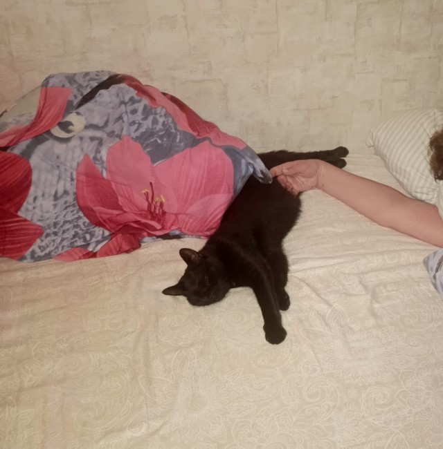 Котовторник же!