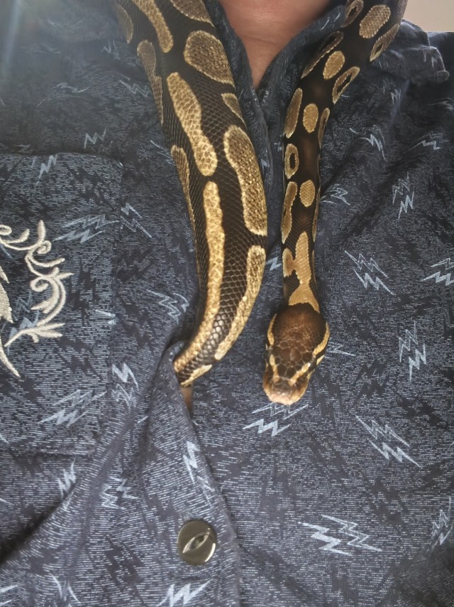 КАА