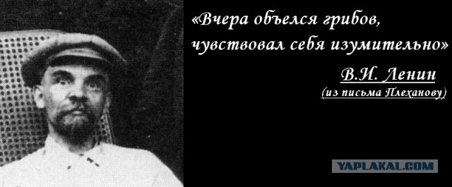 Просто убивают псевдоцитаты