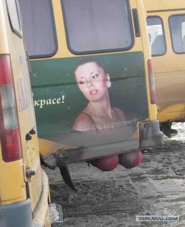 Смешные картинки
