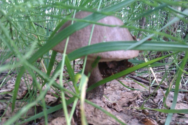 Просто выходные...