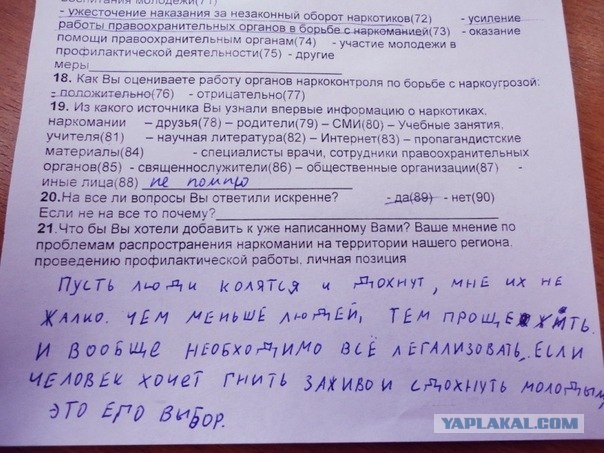 Необходимо всё легализовать