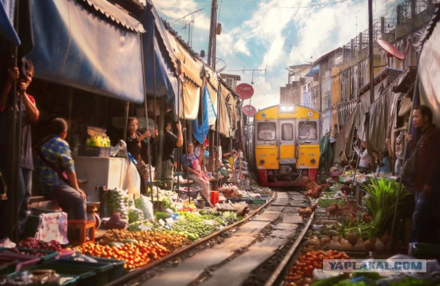 Лучшие фотографии года
