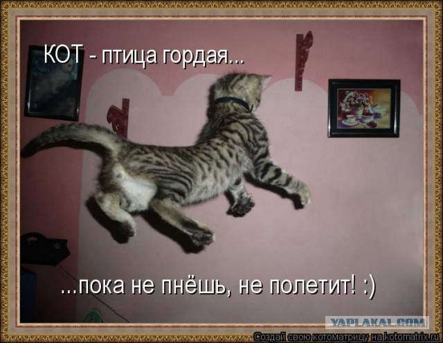 Давайте меня замуж отдадим!