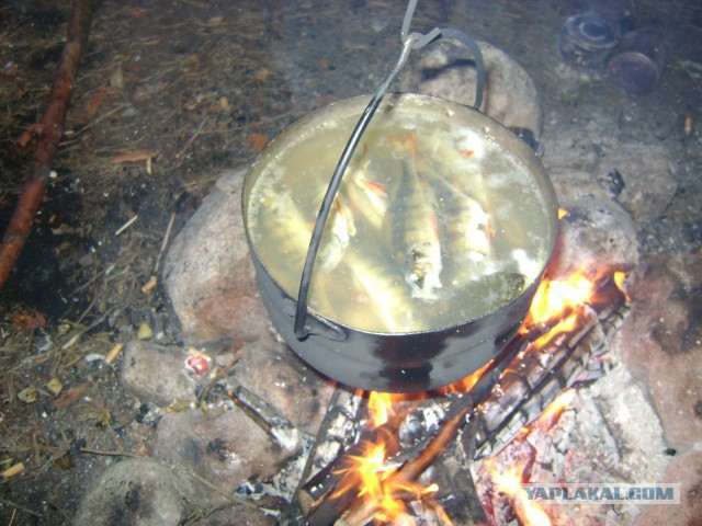 Всех С Днем Рыбака