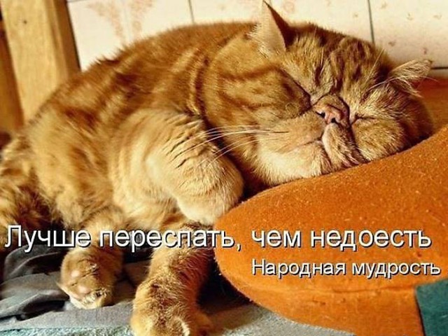 Веселые картинки