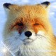 Авторские аватары для яповцев