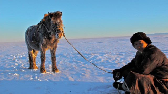 Из Сибири в Австралию: Женщина прошла пешком 16 тысяч километров