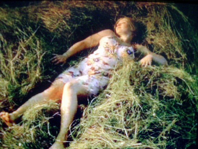 Интересные моменты из жизни  деревни