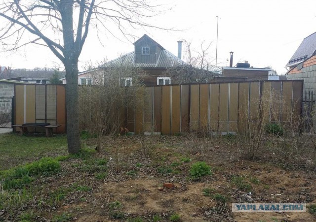 Подборка смешных, не очень и просто красивых фотографий