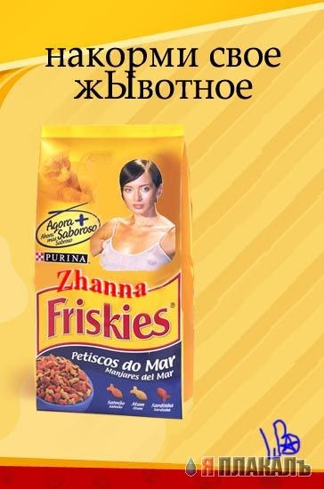 friskies