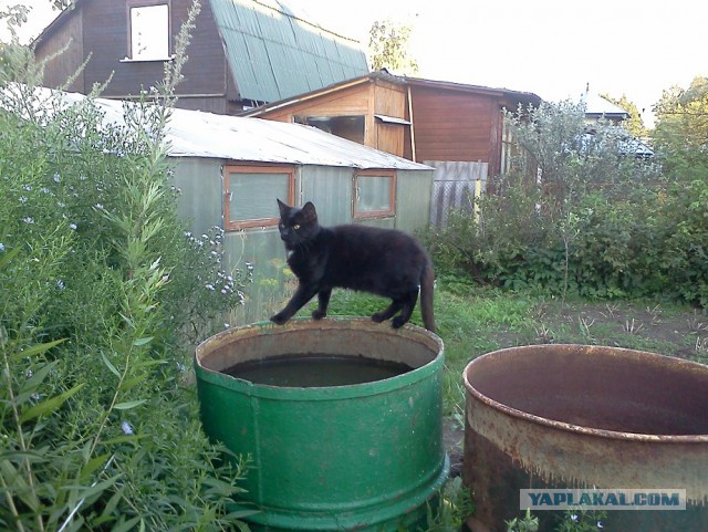 Прошлая жизнь. Швея