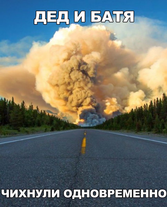 Картинки и приколы из сети