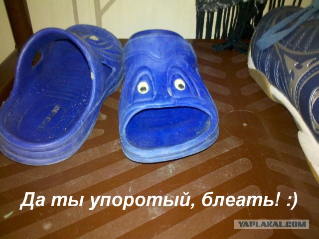 Упоротая пятиминутка