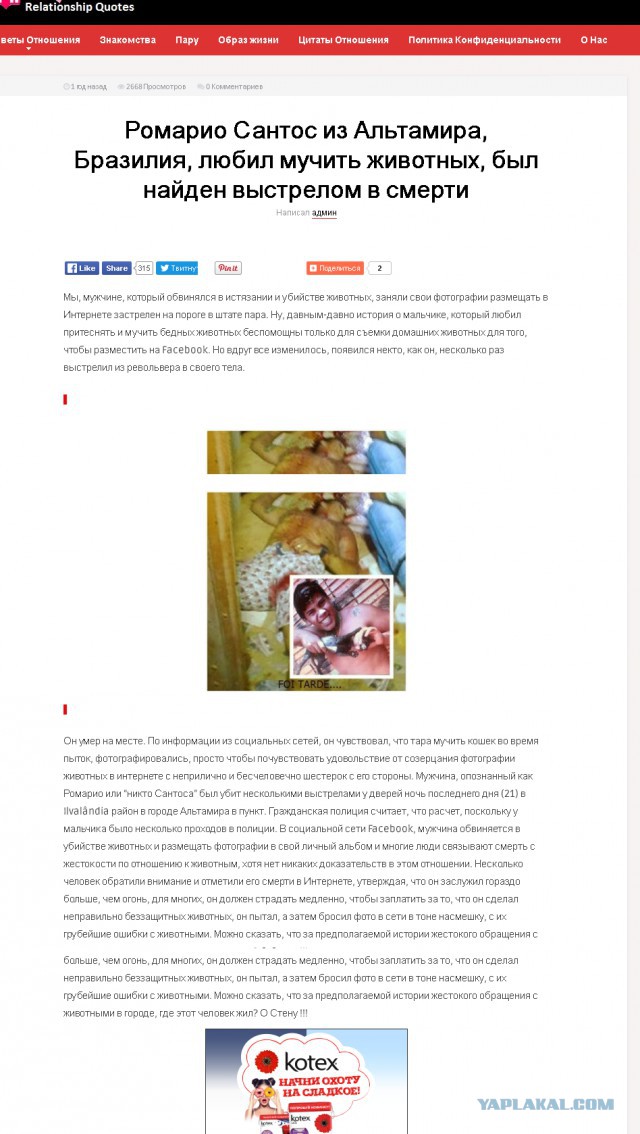 Живодерки из Хабаровска