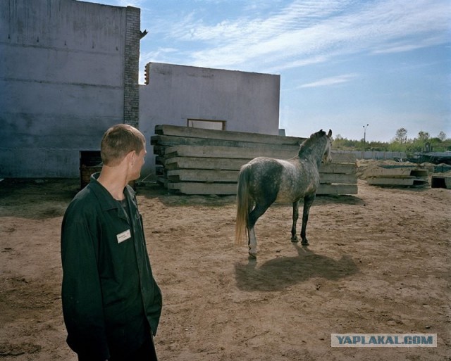 Карл де Кейзер. «Зона» / Zona (2000—2001)