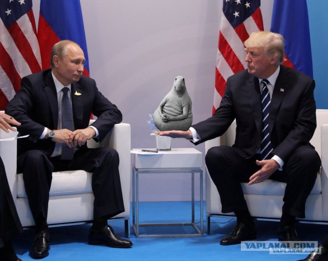 Фото: Первая встреча Путина и Трампа