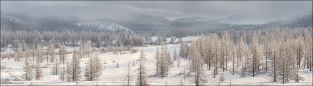 На краю света: жизнь коренного народа российского Севера