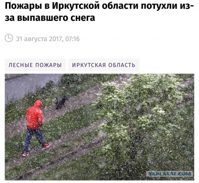 150 картинки для поднятия настроения!