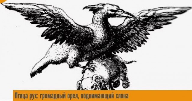 25 необычных вещей, которых вы возможно не видели