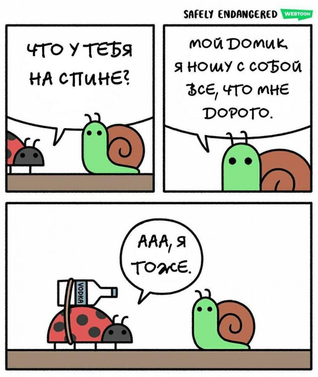 Дурацкие картинки