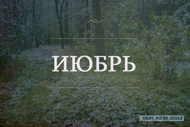 Коротко о погоде