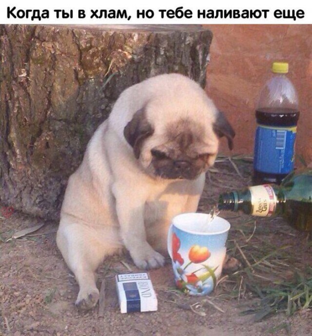 Нестандартный юмор