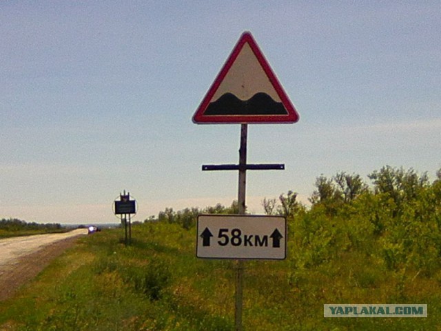 Командировка. В степь. Животные и люди