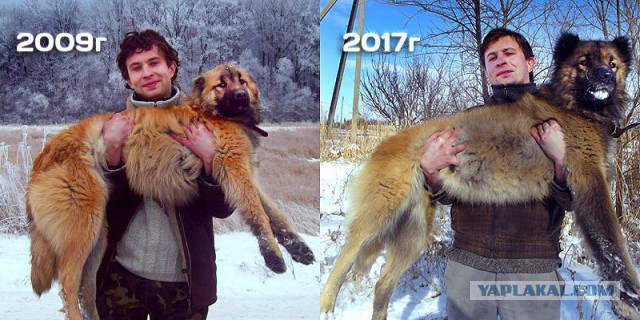 Проклятый клад купца Никольского