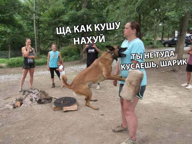 Немного картинок в этот вторник