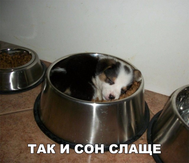 Прикольные картинки абавсём