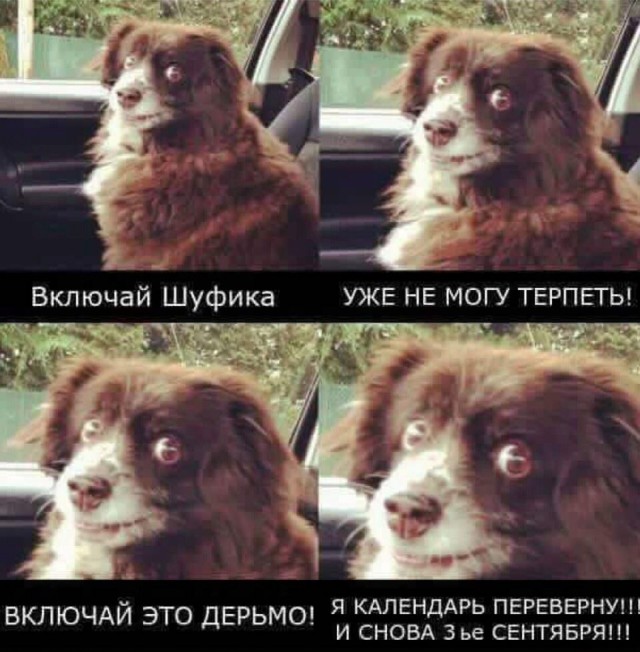 Немного картинок в эту субботу
