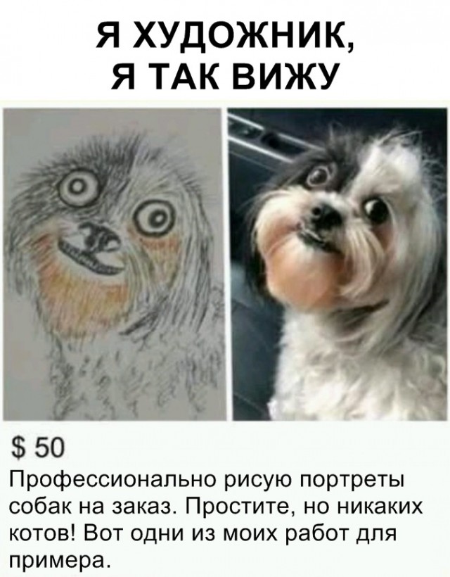Фото и картинки с надписями