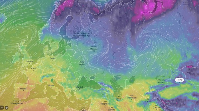 Есть ли будущее у модульных - растущих домов в России?