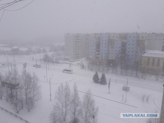 Добро пожаловать в Сибирь 28.04.2019