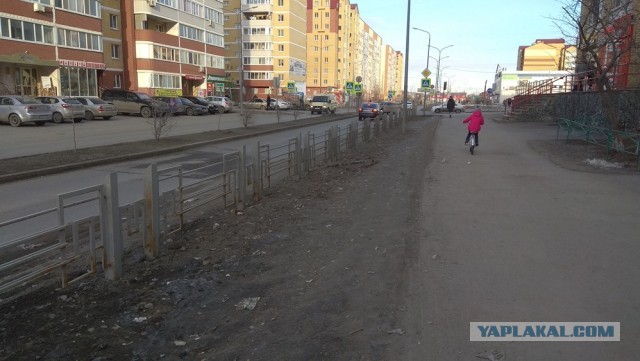 Пляж Бонди закрыт после того, как тысячи слабоумных любителей солнца проигнорировали запрет