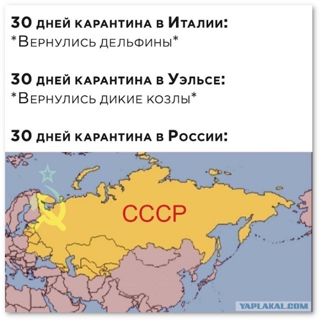 «До 6 мая может наступить полный коллапс»: владелец ТЦ «Атриум» о критическом положении, в котором оказались торговые центры