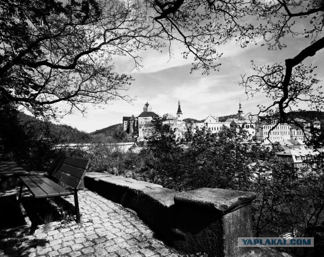 Плёночная фотография. Хобби