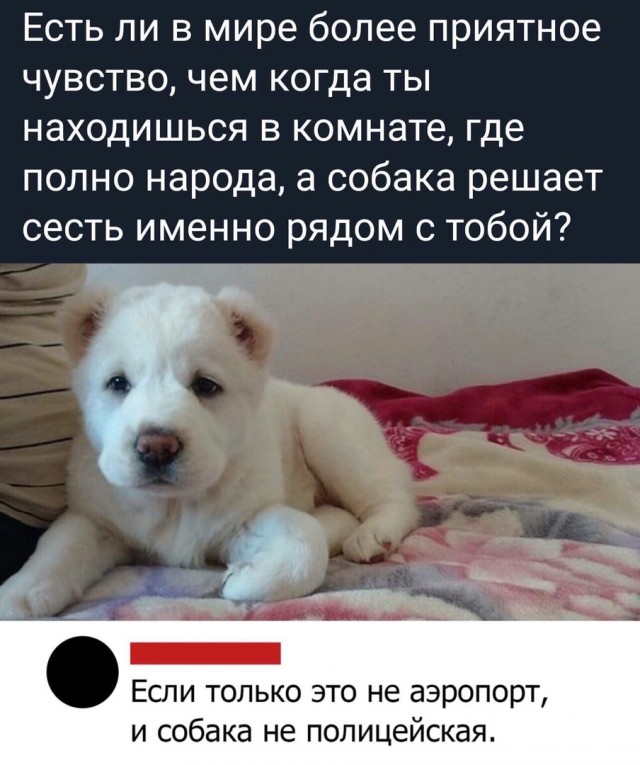 Чуток картинок 05.05.20