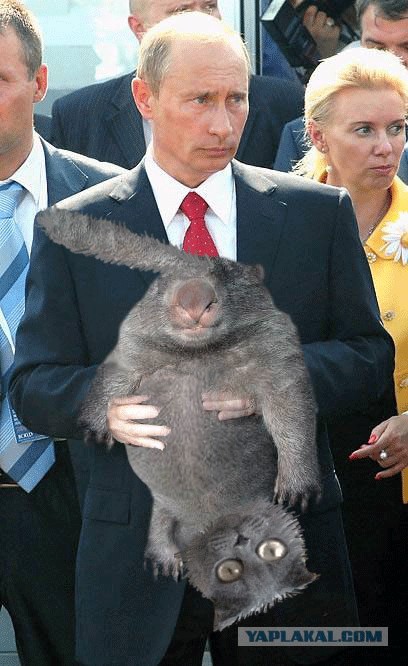 Фотожаба: Путин и зверь