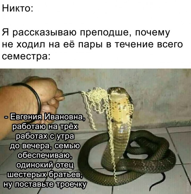 Картинки и мемы для настроения 023