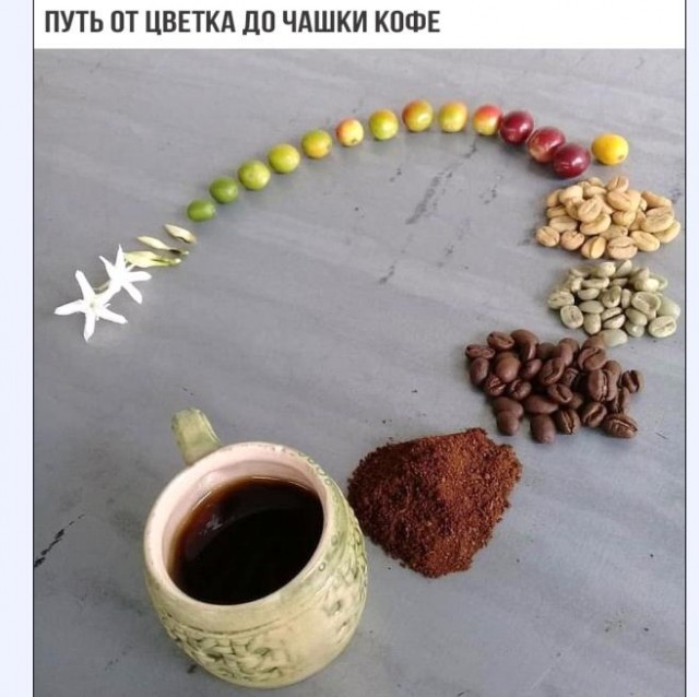 Картинки и мемы для настроения 011