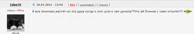 "Наша норма – 120 комментов в день". Жизнь кремлевского тролля