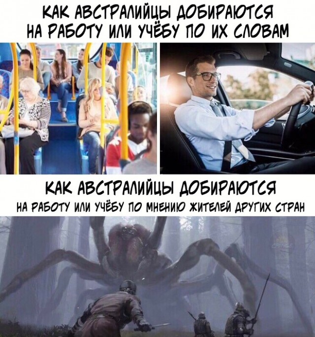 Весёлый полтишок 17.02