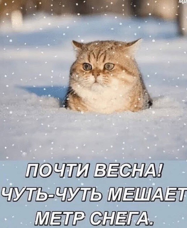 Бредзона 21.02.21